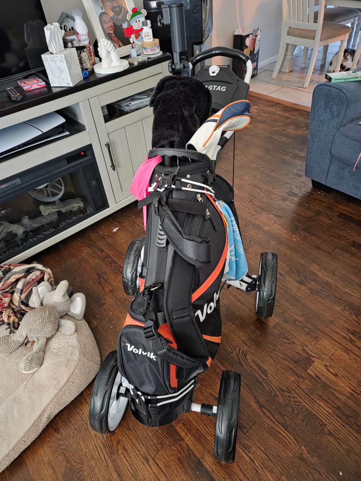 FLAGTAG Golf Push Cart 4-Wheels,Folding Golf Cart, Golf Pull cart with Cup Holder,Umbrella Holder,Cooler Bag, Foldable with one-Click,Handle Height Adjustable,Drink Holder,Walking Push cart customer photo 1