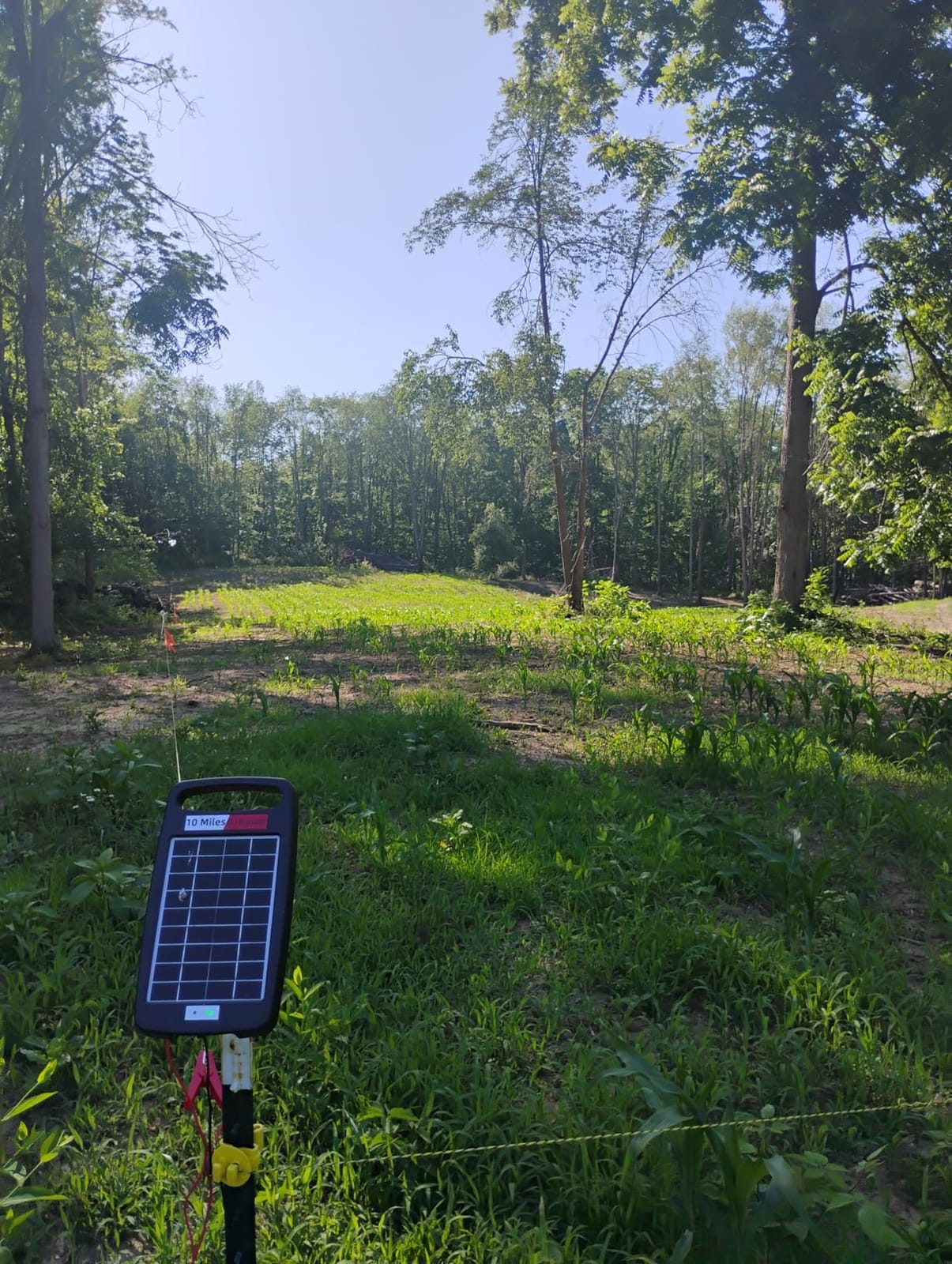 10 Miles Solar Powered Electric Fence Charger, 0.18J Portable for Livestock customer photo 1
