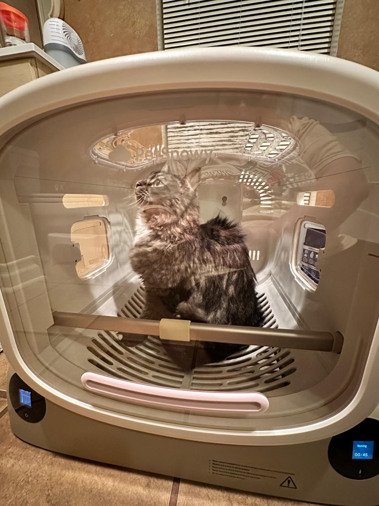 PetSnowy Pet Dryer Box - Safe Modular Design, 80L Large Space, Smart Temperature & App Control, 5 Sides Efficient Airflow, Ultra Quiet Cat and Dog Hair Dryer for Pet Grooming customer photo 1