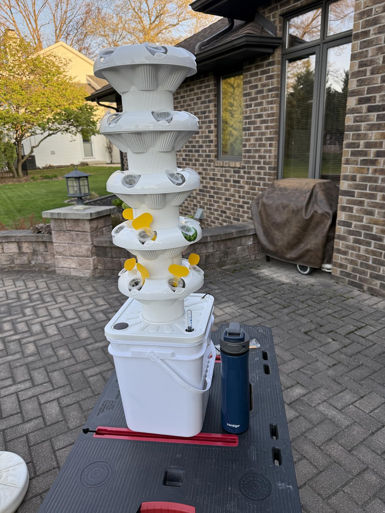 SJZX Hydroponics Growing System Kit, 5-Layer Hydroponic Tower, 30 Planting Holes, Space-Saving Vertical Gardening System, Suitable for Both Indoor and Outdoor use Germination Kits customer photo 1