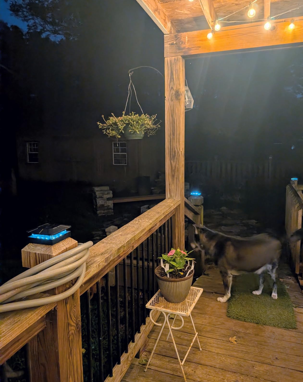 Peasur 4 Packs 4x4 Solar Post Cap Lights Outdoor with 3 Modes customer photo 2