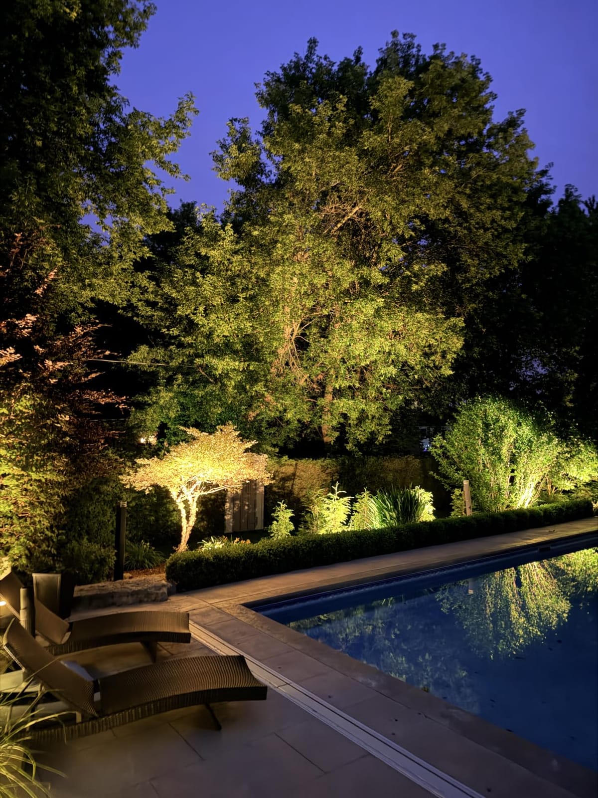 SUNVIE All-in-One LED Low Voltage Landscape Lighting Kit Dusk to Dawn 12PCS customer photo 1
