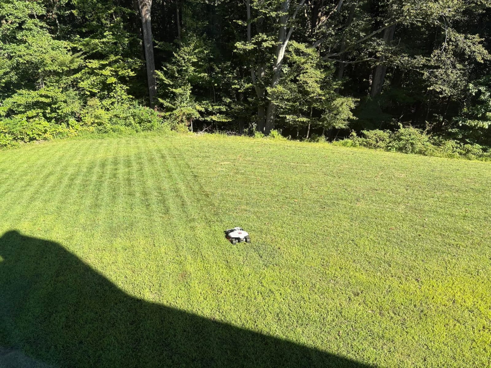 Mammotion LUBA 2 AWD 5000HX Robot Lawn Mower with 4G, Reception 1.25 Acres, Max. 1.48 Acres, All-Wheel-Drive for 80% Slope, UltraSense AI Vision & RTK Automatic Edge Mapping, 2.2
