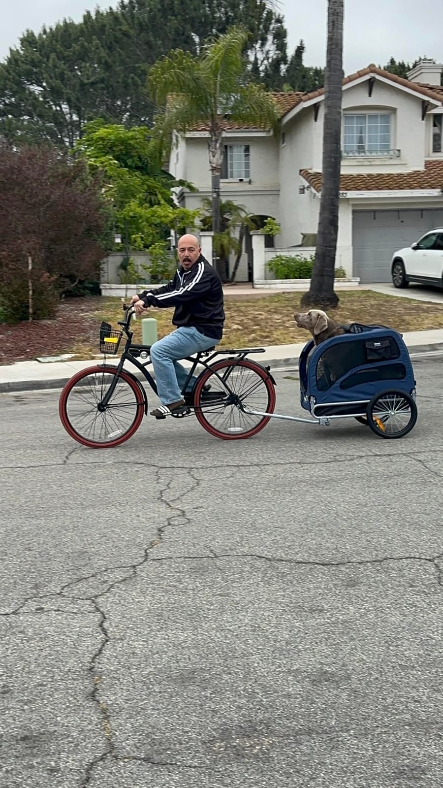 VEVOR Dog Bike Trailer, Supports up to 100 lbs, Pet Cart Bicycle Carrier, Easy Folding Frame with Quick Release Wheels, Universal Bicycle Coupler, Reflectors, Flag, Collapsible to Store customer photo 2