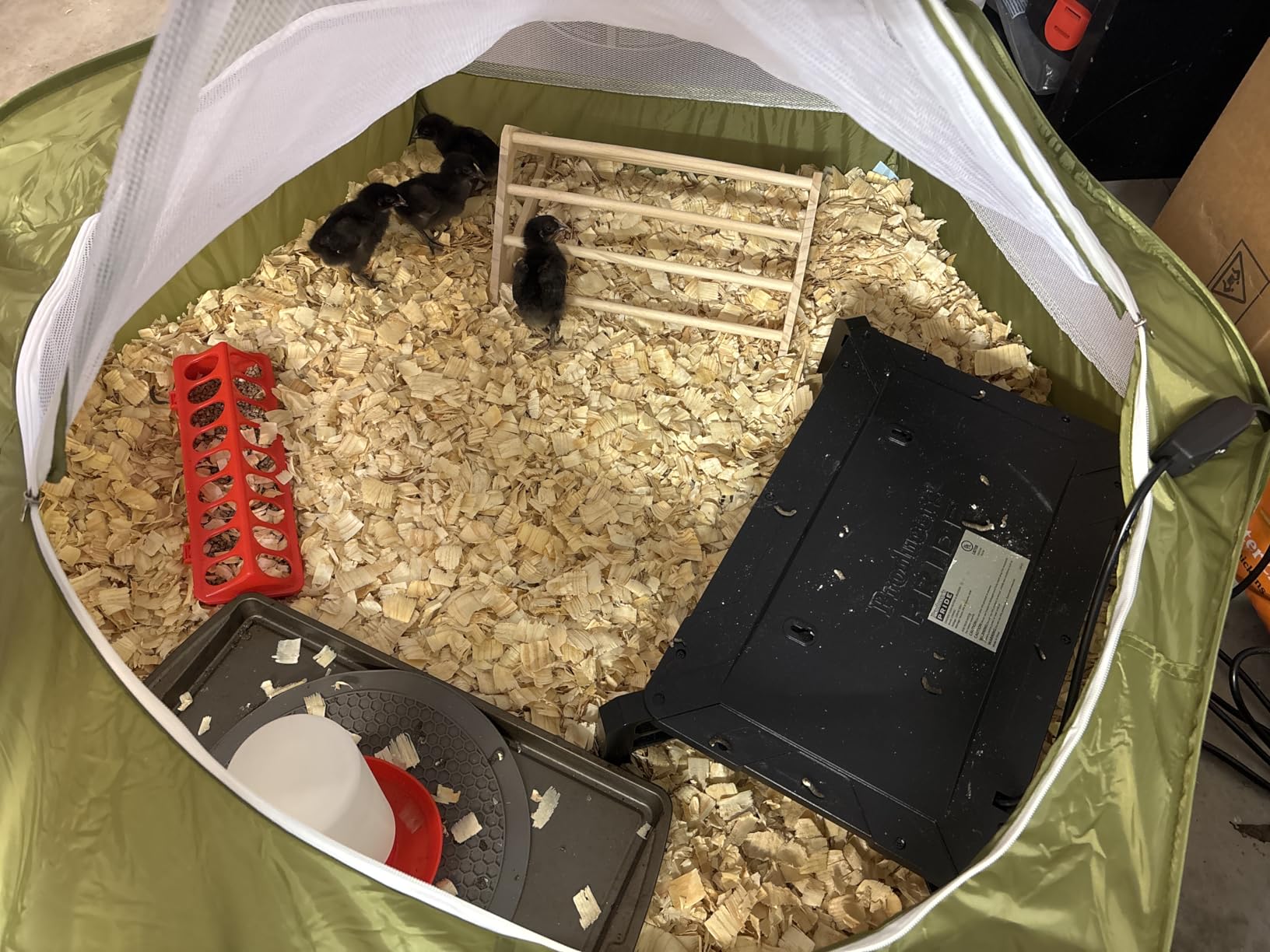 Pawaboo Chick Brooder Box for Chick Starter Kit, Red+Black customer photo 2