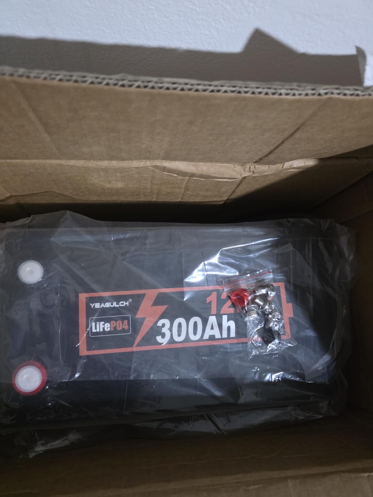 12V 314Ah LiFePO4 Lithium Battery with 200A BMS 15000+ Deep Cycle customer photo 2