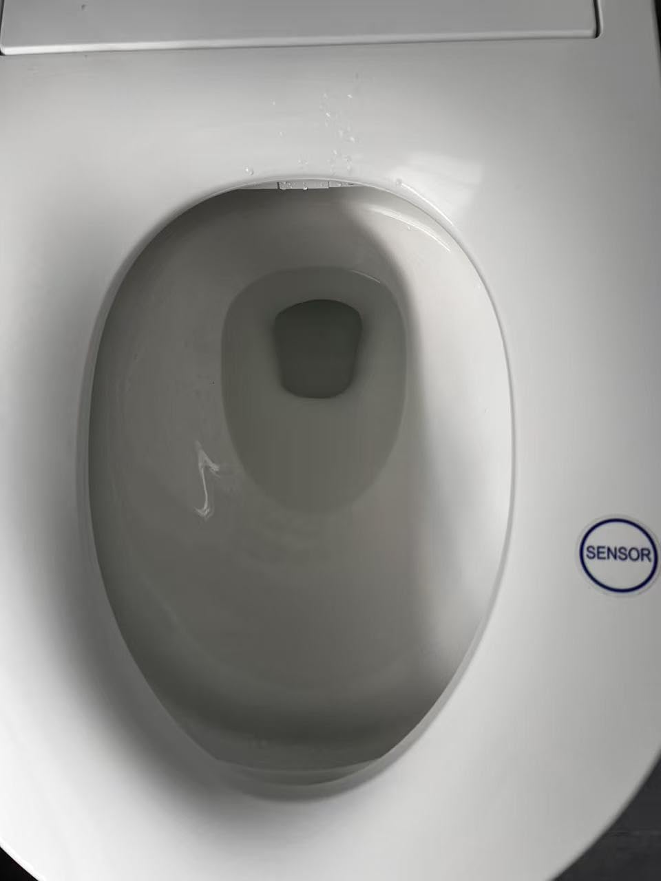 Casta Diva Smart Toilet With Bidet Built in Auto Open 1000g MaP Flush K030 customer photo 1