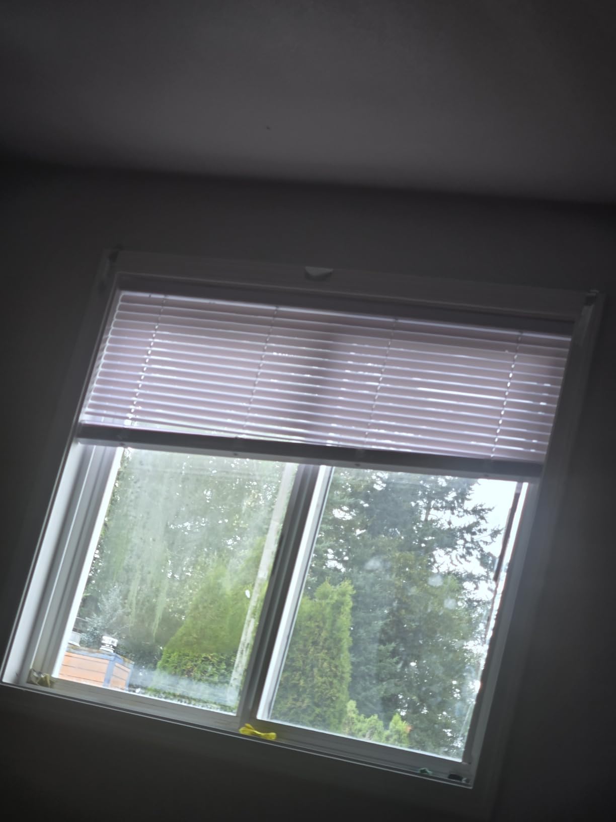 Calyx Interiors 1“ Mini Blinds, 32.5“W x 48“H, White, Light Filtering customer photo 1