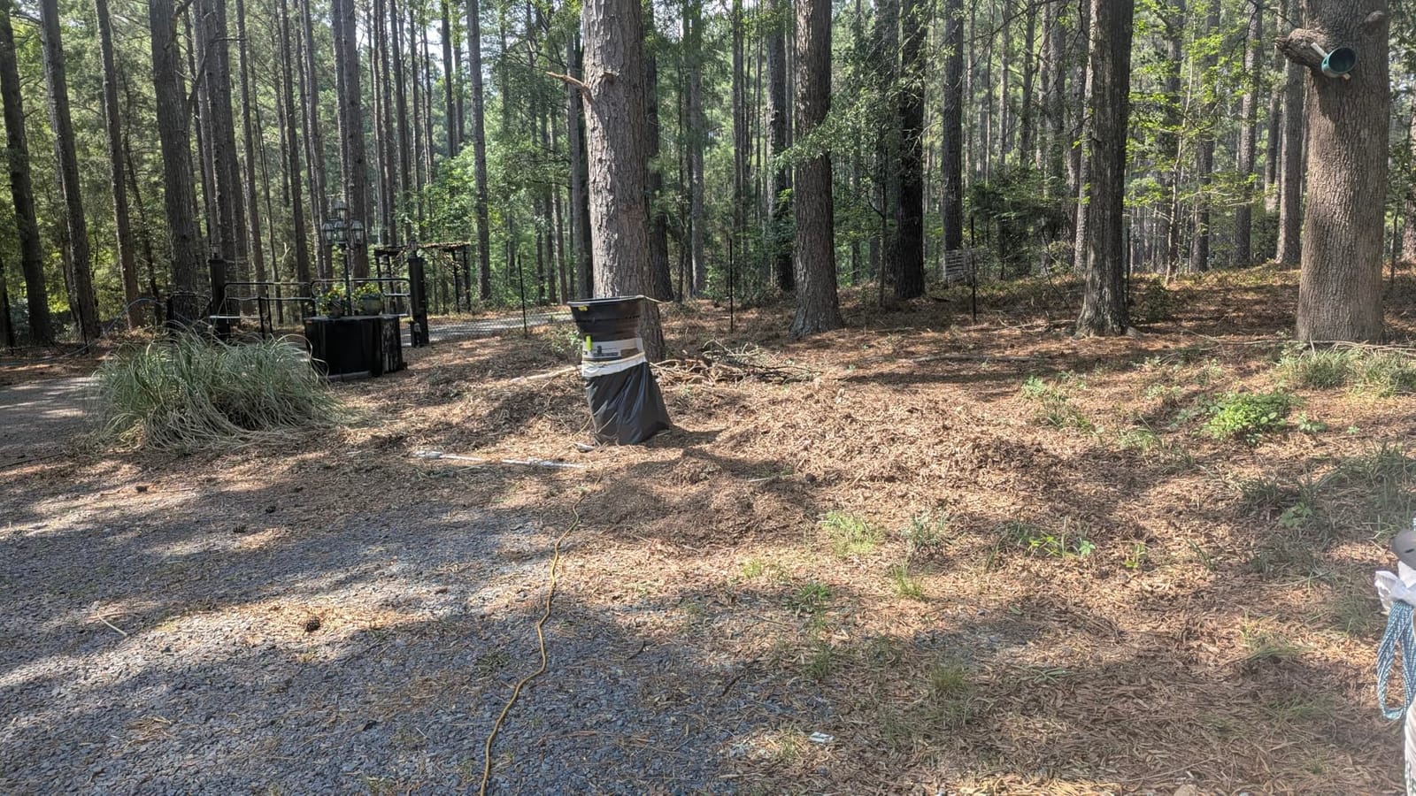 Electric Leaf Mulcher/Shredder: DEKOPRO 15-Amp 8200RPM Motor for 17:1 Reduction Ratio, Adjustable Control Dia with Leaf Scoops Spade, Collection Bag & 20 Cutting Lines customer photo 2