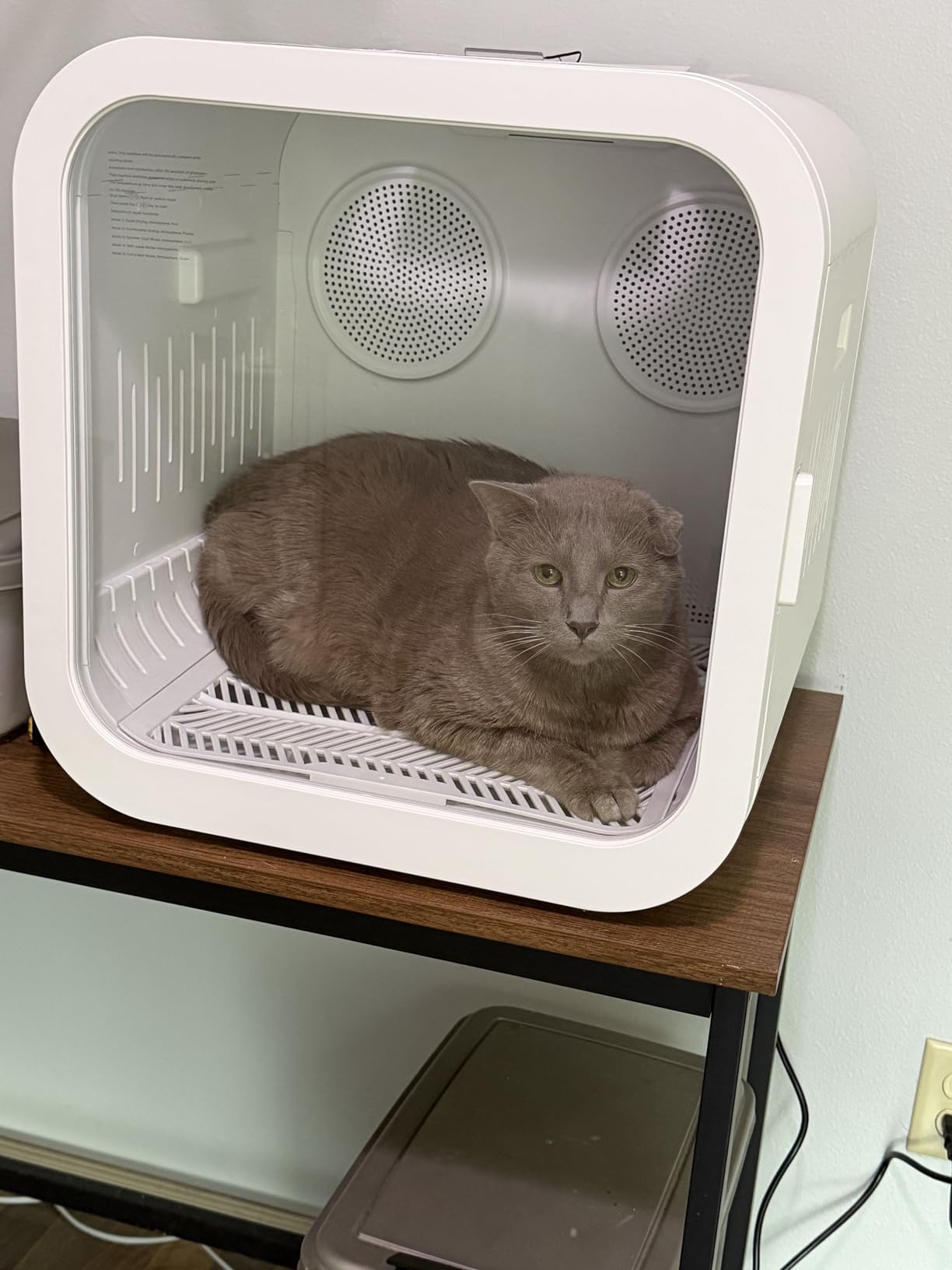 Automatic Pet Hair Dryer Box, 70L Dual Motor Fans Blower for Cats and Small Dogs, 360° Drying, Temperature Control, Self-Dryer Boxes with 4 Adjustable Speed Settings & 5 Drying Modes, 5 Towels, White customer photo 2