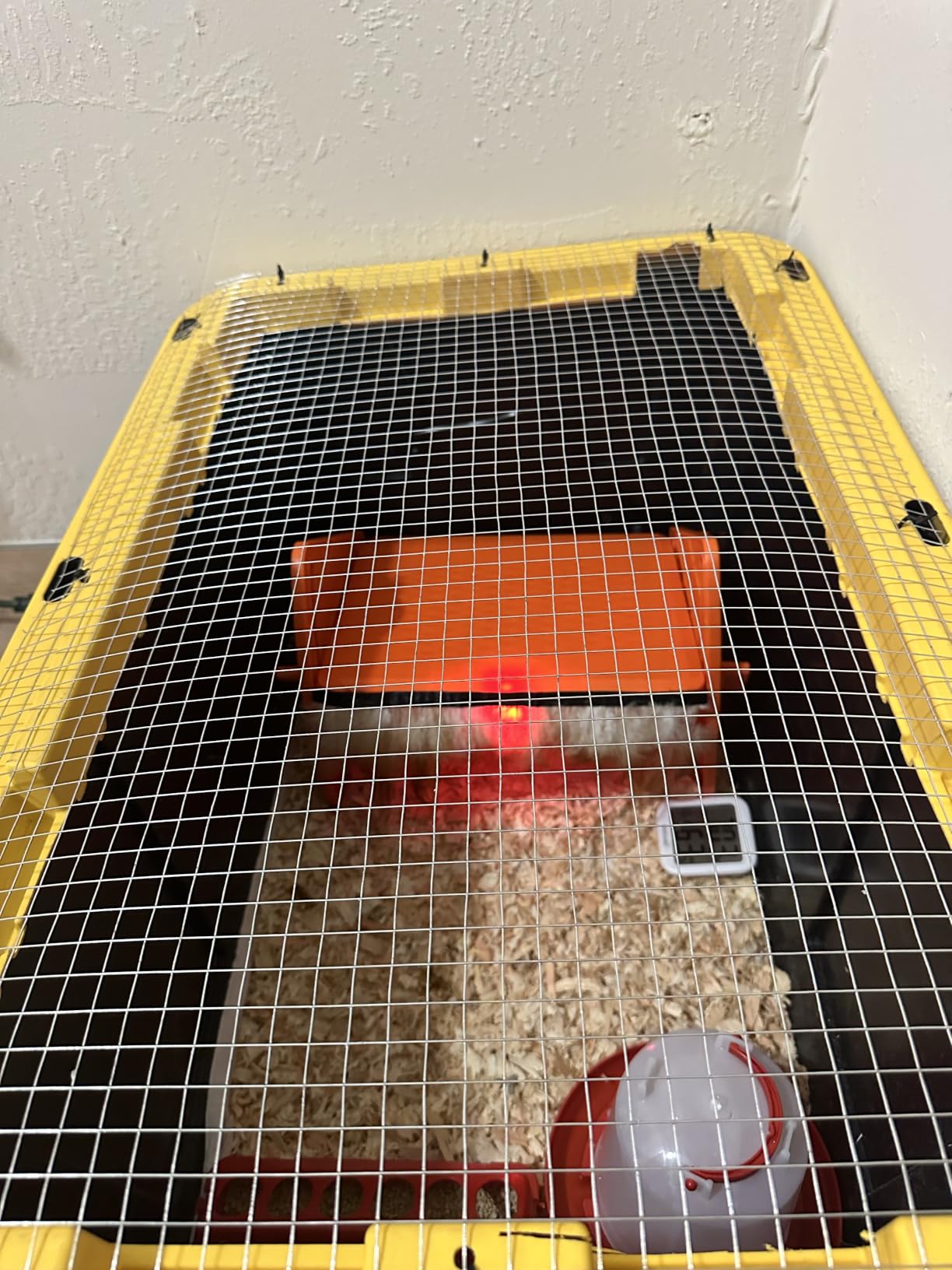 Chick Brooder Heater Plate for Baby Chicks, Ducklings & Poultry customer photo 1
