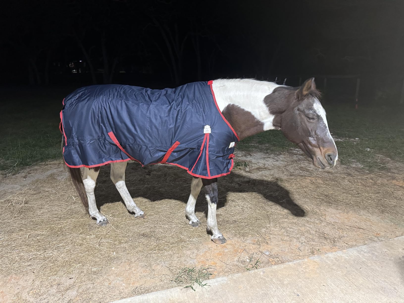 BARN & STABLE 600Denier 3000mm/3000mvp Super Waterproof & Breathable Horse Blankets for Winter with 200g Fill customer photo 1