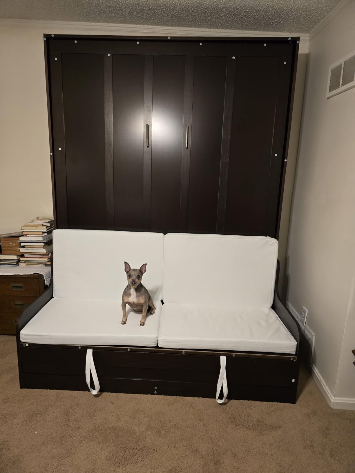 Quarte Queen Murphy Bed with Sofa & Desk White | Queen murphy bed with sofa and desk,dual-piston,storage cabinet,wall-mounted,600lbs,cabinet bed,Modern customer photo 1