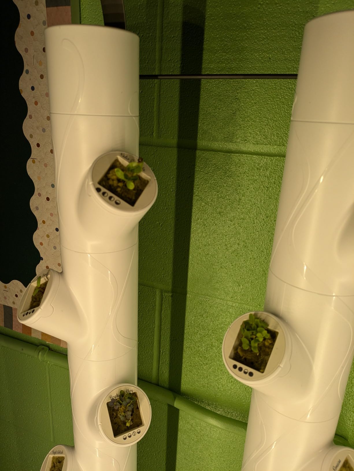 Gardyn Home 4 Vertical Hydroponics Growing System Kit - 30 Plants customer photo 1
