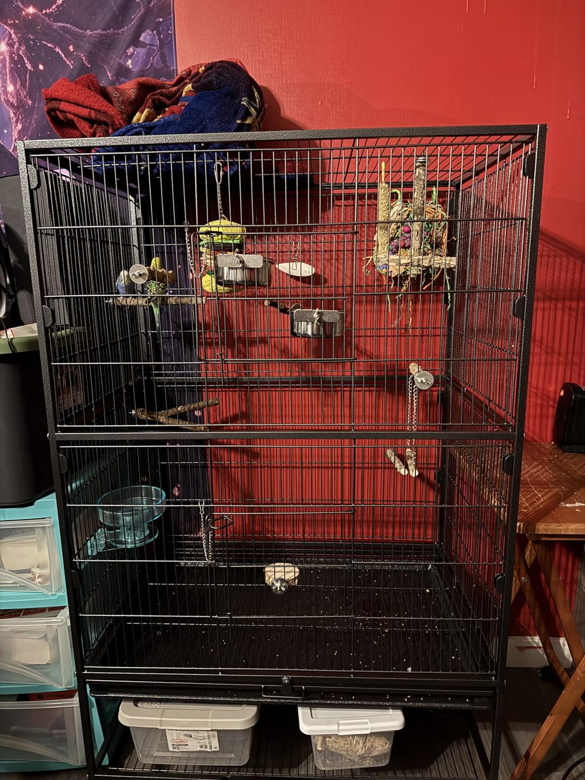 VEVOR Bird Cage, 32.7 x 31.1 x 82.7 inch, Open Flat Top, Wrought Iron Bird Flight Cage with Perches, Slide-Out Tray, Plastic Feeders, for Cockatiel, Monk Parakeet, Amazon Parrot, African Grey Parrot customer photo 1