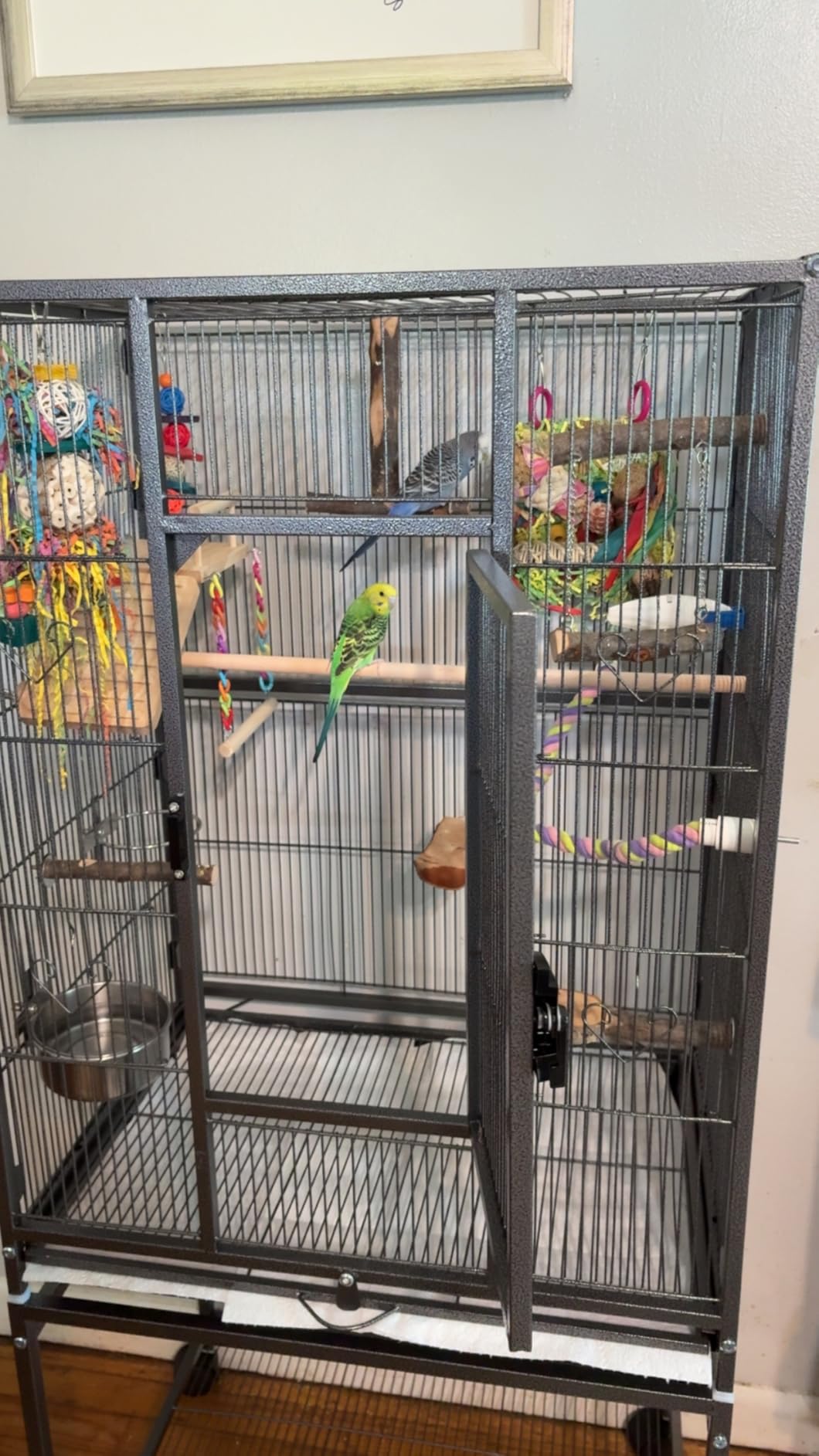 VEVOR Bird Cage, 32.7 x 31.1 x 82.7 inch, Open Flat Top, Wrought Iron Bird Flight Cage with Perches, Slide-Out Tray, Plastic Feeders, for Cockatiel, Monk Parakeet, Amazon Parrot, African Grey Parrot customer photo 2