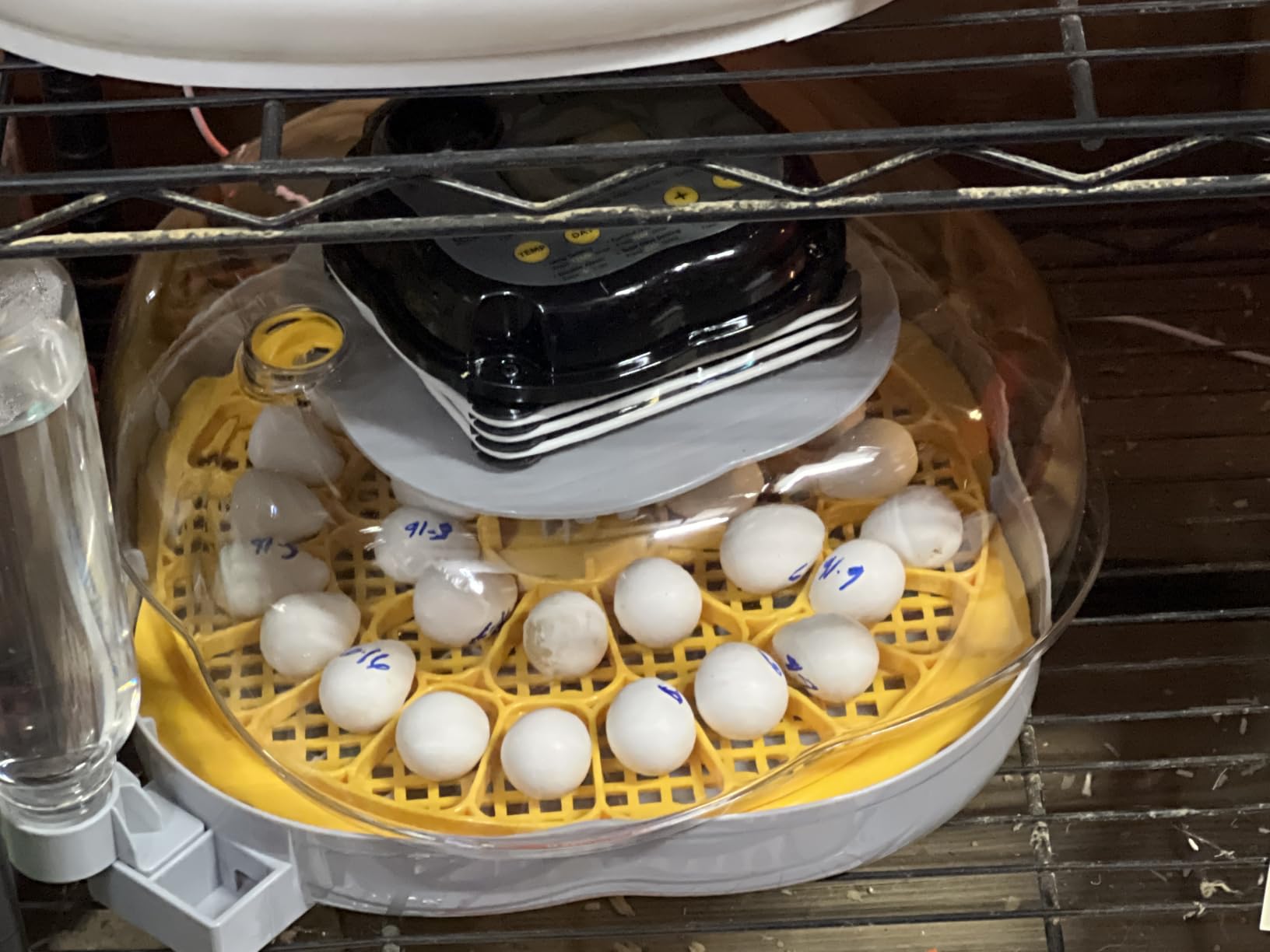 Egg Incubators for Hatching Eggs, 18 Chicken or 8 Large Eggs Incubator customer photo 1