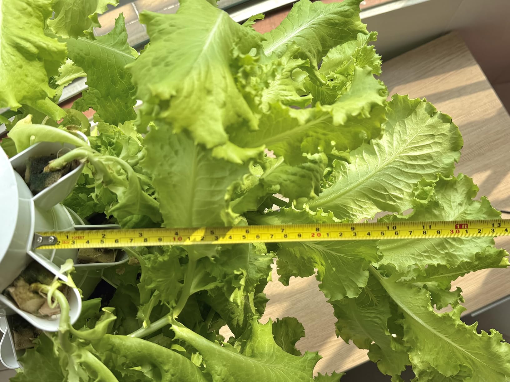 Hydroponics Growing System, 30-Plant Indoor Hydroponic Tower with Pump System, Plants Germination Kit, Smart Aeroponic Herb Garden, Vertical Hydroponic System for Gardening Lover (No Seed) customer photo 2