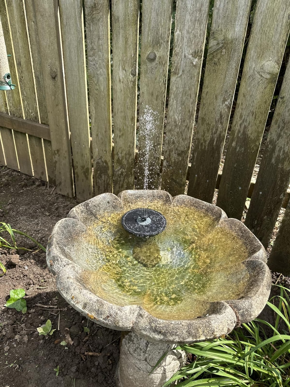 Yzert Solar Fountain for Bird Bath Direct Sunlight High Efficiency 3.5W Glass Panel Solar Water Fountain Outdoor Garden Flower (Black) customer photo 1