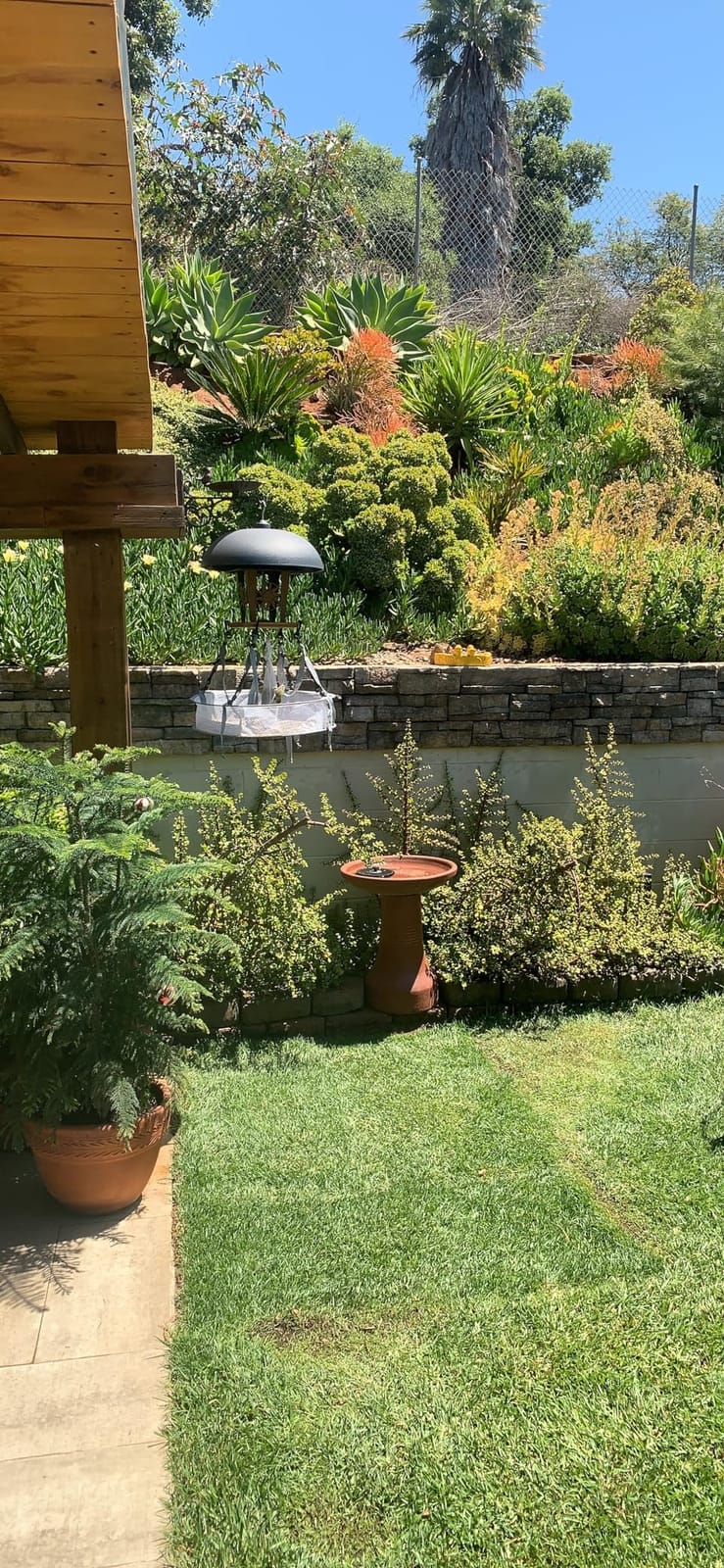 Yzert Solar Fountain for Bird Bath Direct Sunlight High Efficiency 3.5W Glass Panel Solar Water Fountain Outdoor Garden Flower (Black) customer photo 2