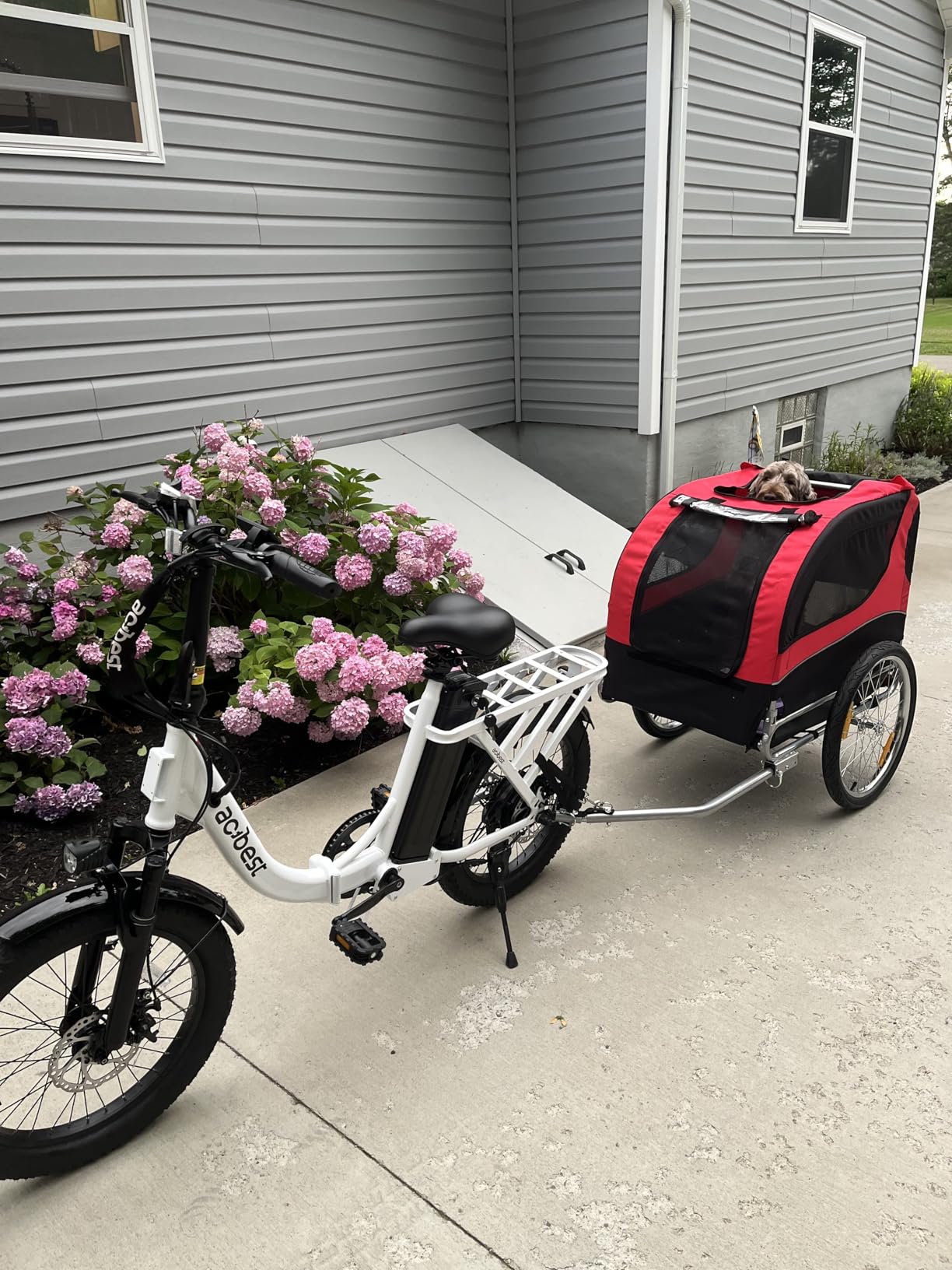 Dog Bike Trailer - HAPPAWS Dog Trailer for Bicycle, Cargo Cycle Trailers Wagon Cart Pet Bike Carrier w/ 3 Doors, Galvanized Steel Wheels, Safety Flag, Easy to Connect&Disconnect, Collapsible to Store customer photo 1