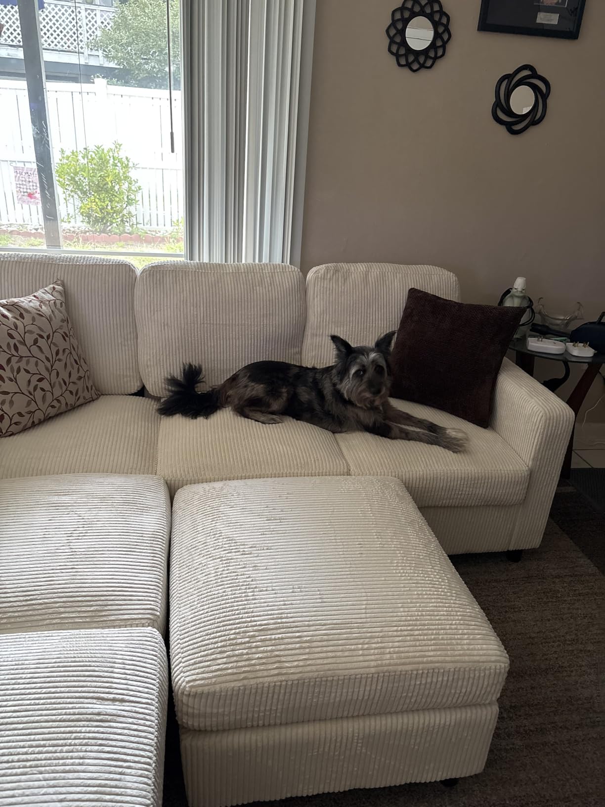 HONBAY Sectional Sofa, 6 Seater L-Shaped Sectional Couch with Storage Ottoman for Living Room, Dark Grey customer photo 2