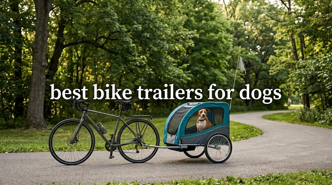 best bike trailers for dogs
