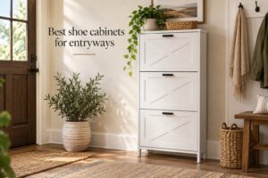 Best shoe cabinets for entryways