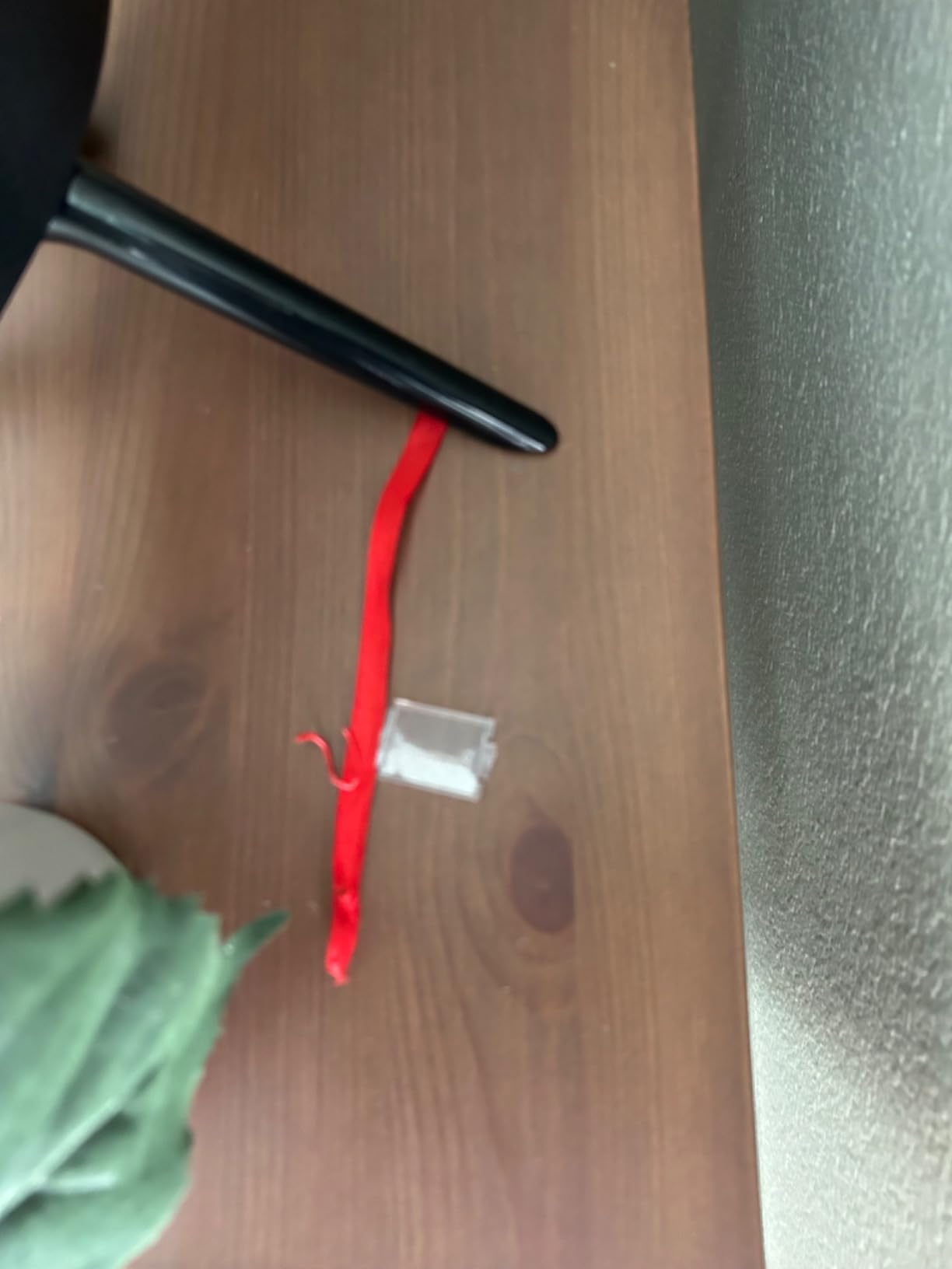 Techko S187D Safe Pool Alarm customer photo 1