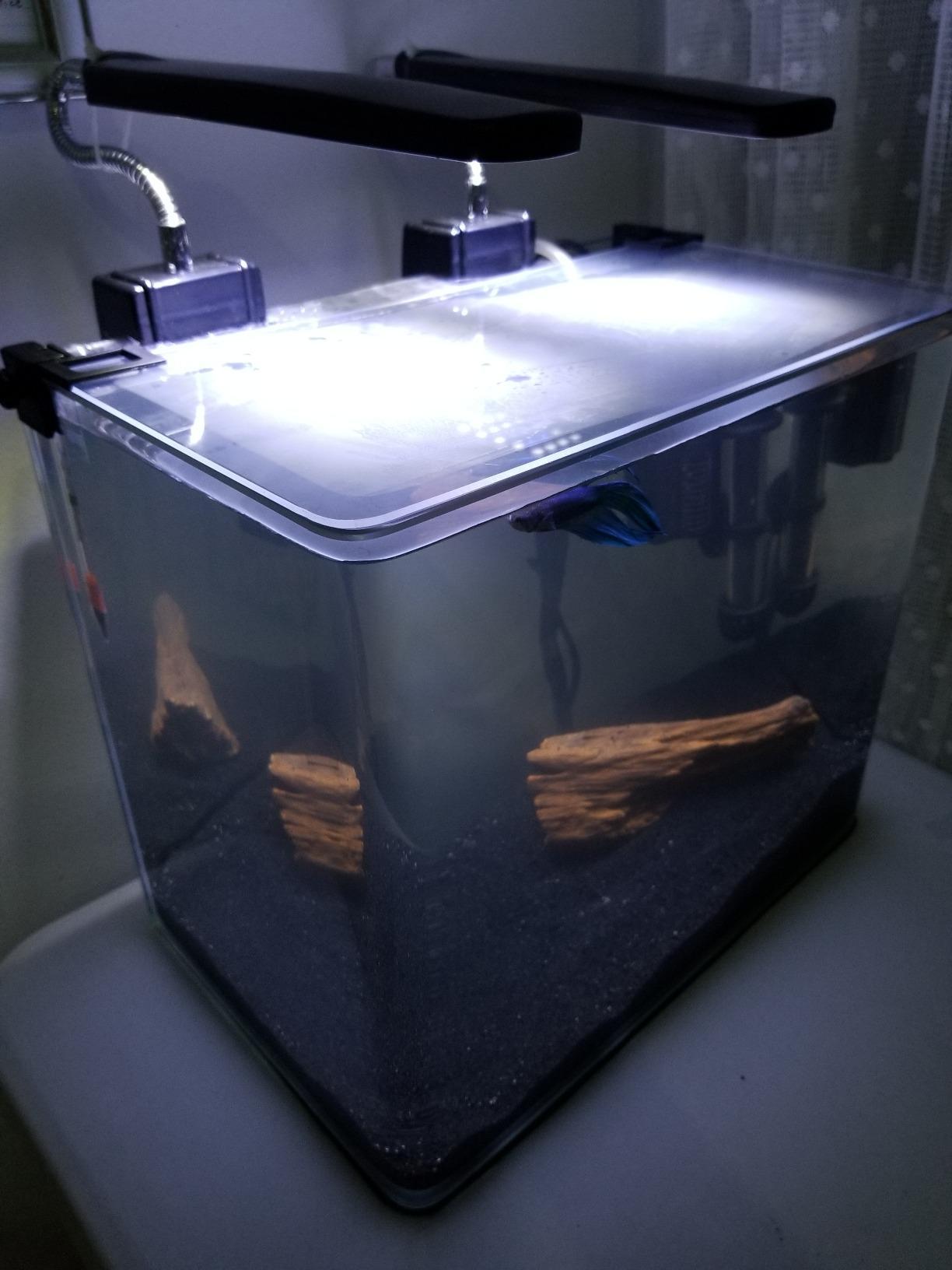 PENN-PLAX Water-World Radius Desktop Nano Aquarium Kit – Come with LED Light, Internal Filter, and Mat – Perfect for Shrimp and Small Fish – 5 Gallon Tank customer photo 1