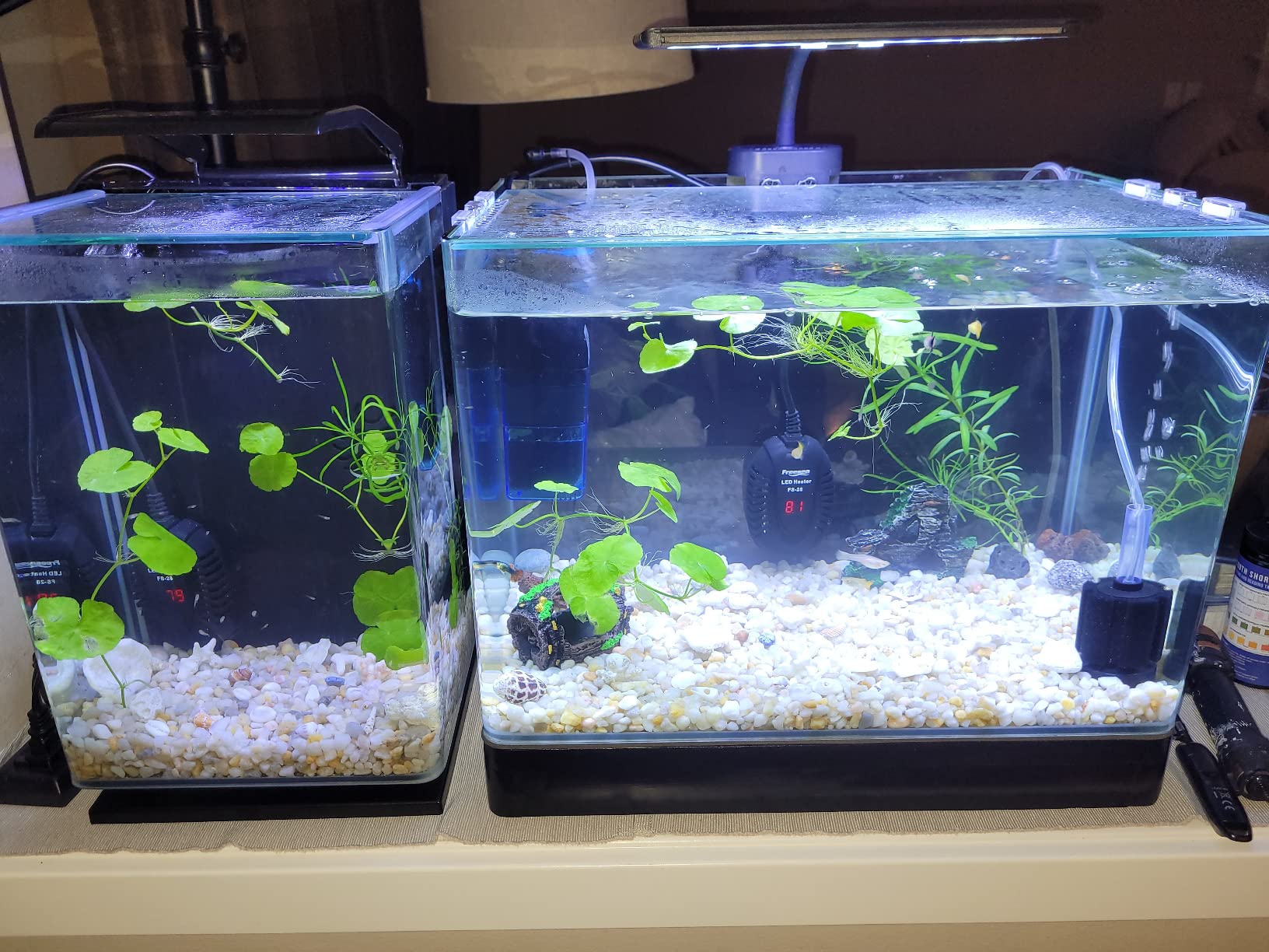 PENN-PLAX Water-World Radius Desktop Nano Aquarium Kit – Come with LED Light, Internal Filter, and Mat – Perfect for Shrimp and Small Fish – 5 Gallon Tank customer photo 2