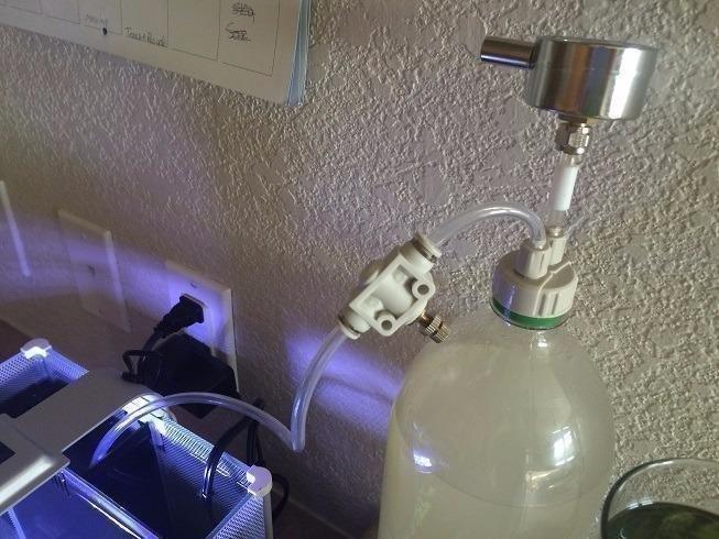 Fluval SPEC Aquarium Kit, 5-Gallon customer photo 2