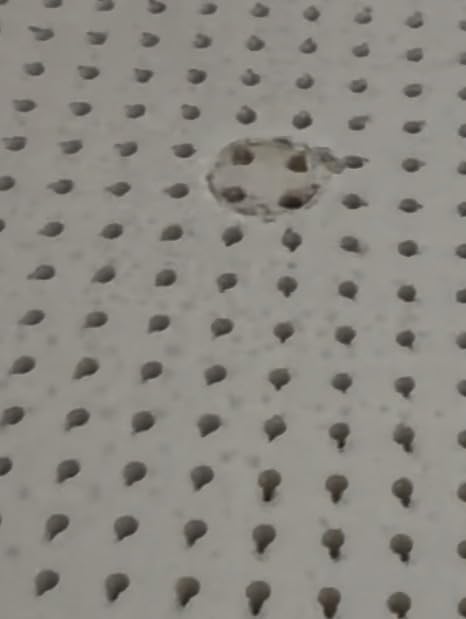 Pure Green Natural Latex Mattress Topper - Soft - 2 Inch - Queen Size (GOLS Certified Organic) customer photo 1