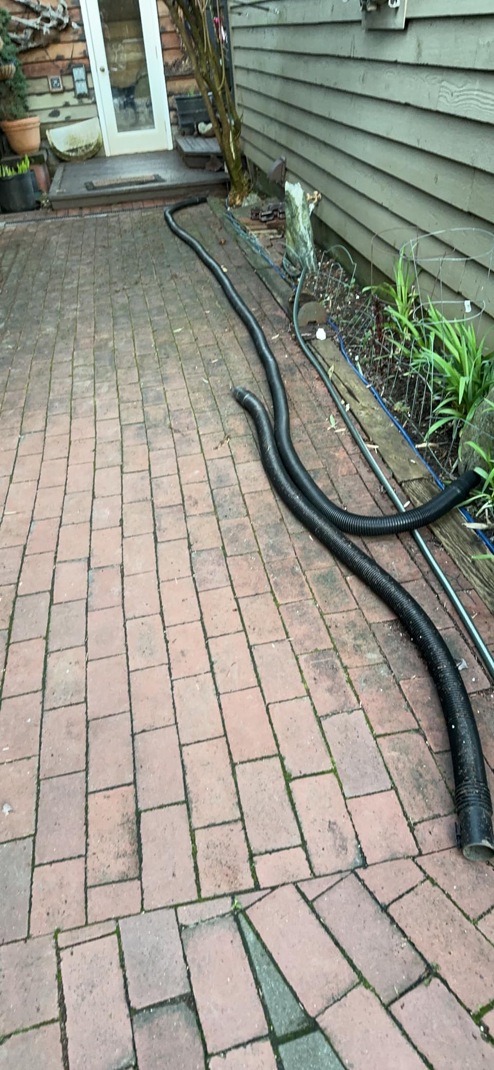 CRAFTSMAN CMXZVBE38759 2-1/2 in. x 20 ft. POS-I-LOCK Wet Dry Vacuum Hose customer photo 1