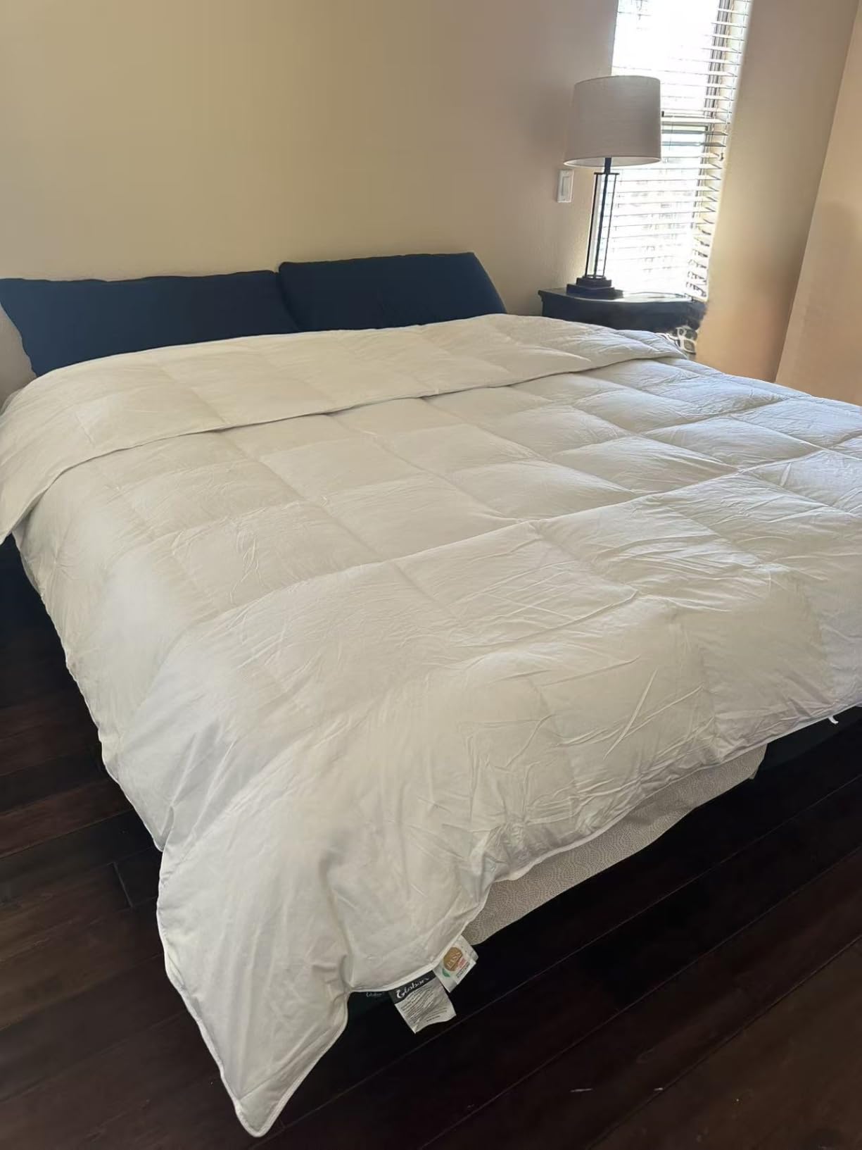 Globon Winter Goose Down Comforter Queen Size,800 Fill Power,White customer photo 2