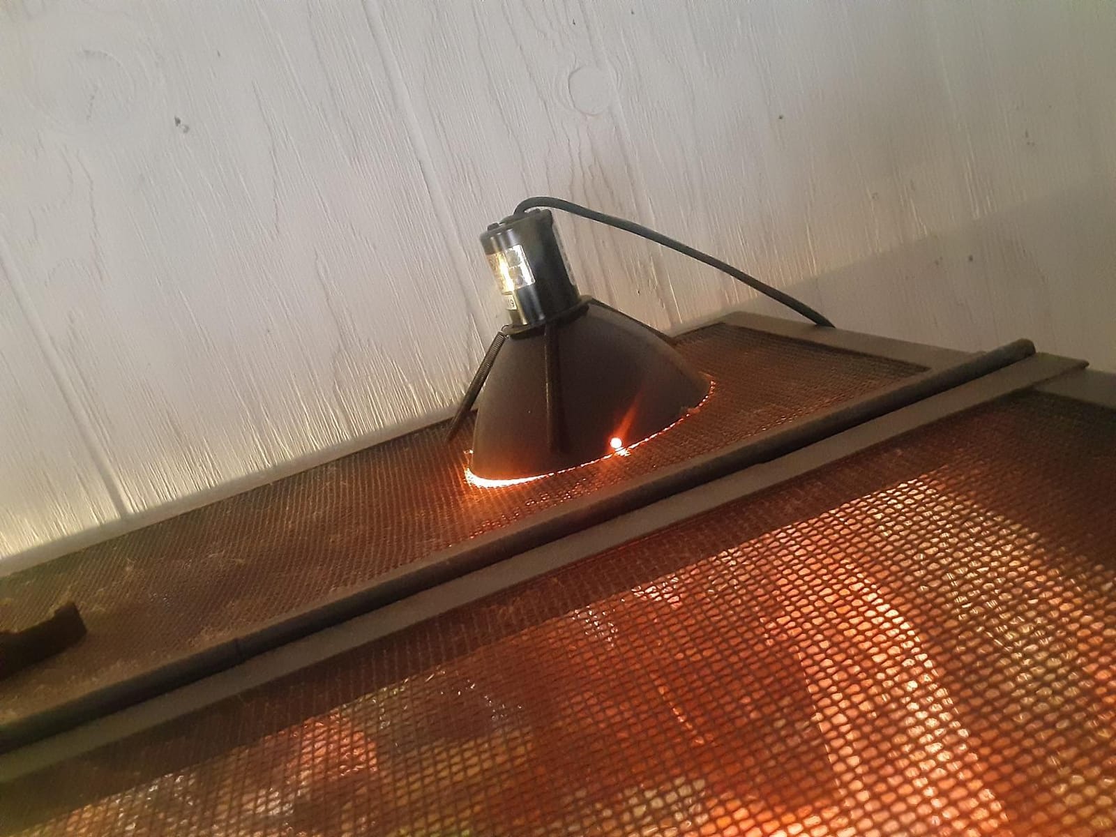 (2 Pack) Zilla Reptile Habitat Lighting, Terrarium Heat Lamp Halogen Mini Dome customer photo 1