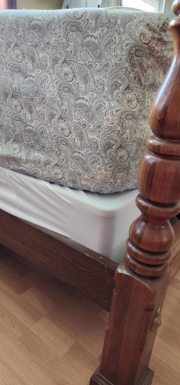 Comfort Spaces 100% Cotton Percale Sheets Queen Size 4 Piece, Paisley Multi customer photo 2