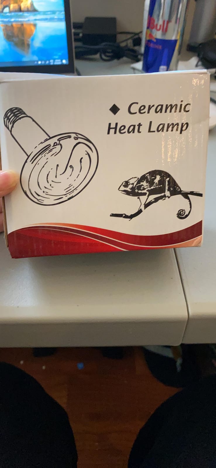 2-Pack 100W Ceramic Heat Lamps with 1-pcs Digital-Thermometer customer photo 1