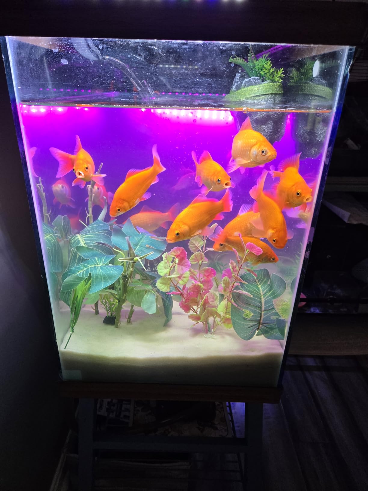 Aqueon QuietFlow Canister Aquarium Filter, 55-100 Gallons (ECOM) customer photo 2