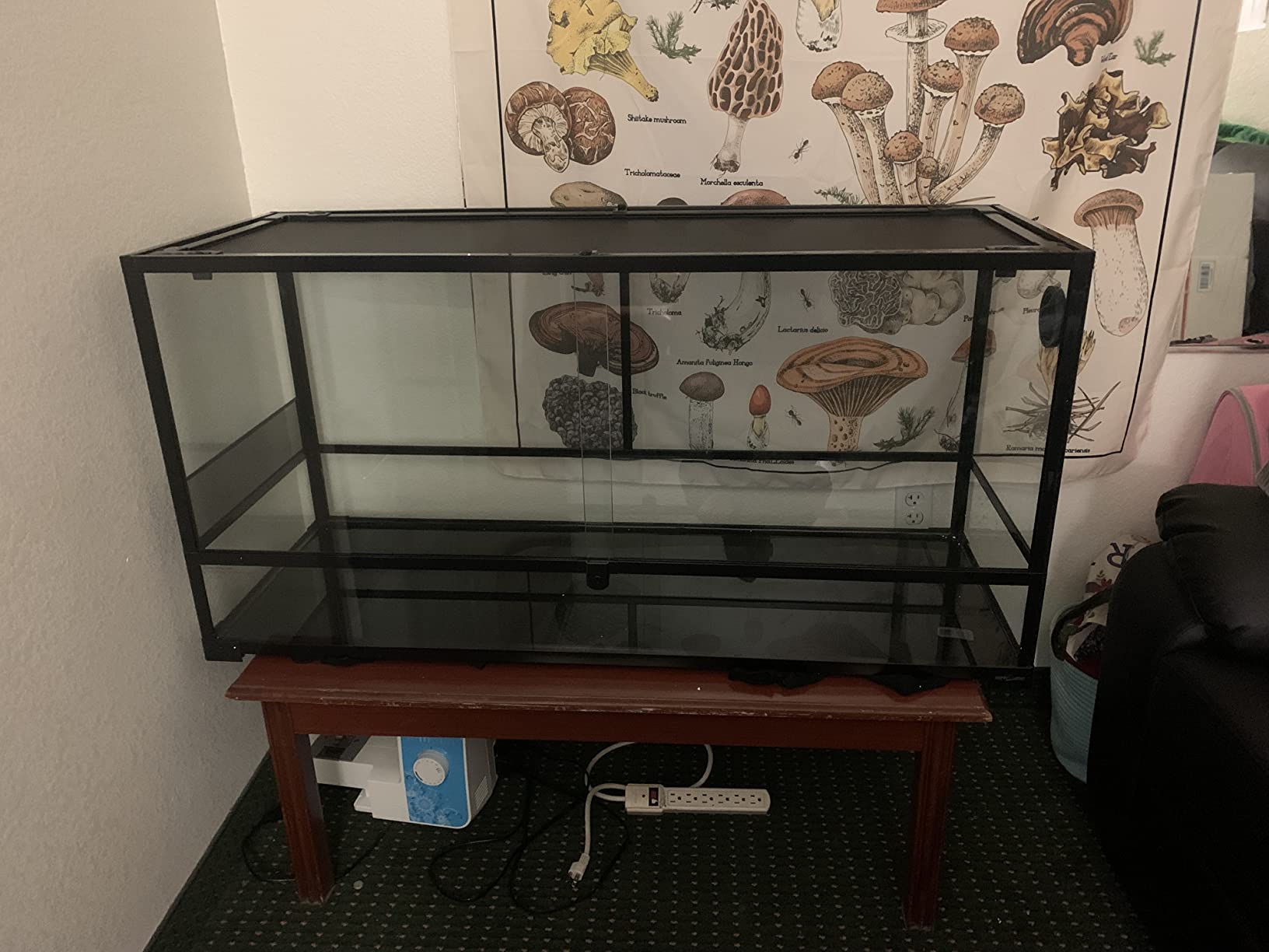 REPTI ZOO 85 Gallon Large Reptile Tank, Wide & Tall Tempered Glass Large Reptile Terrarium 47.2