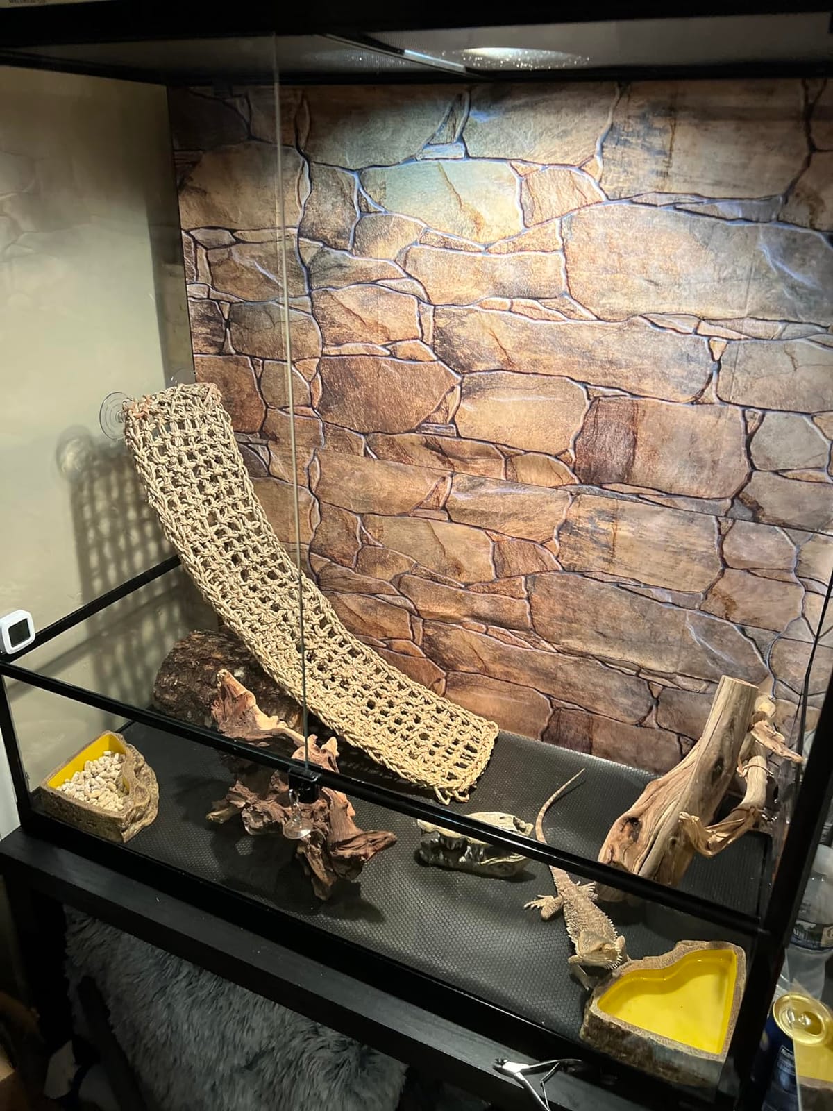 REPTI ZOO Large Reptile Terrarium, Vertical Reptile Tank, Wide & Tall Chameleon Cage with Top Screen Ventilation (36