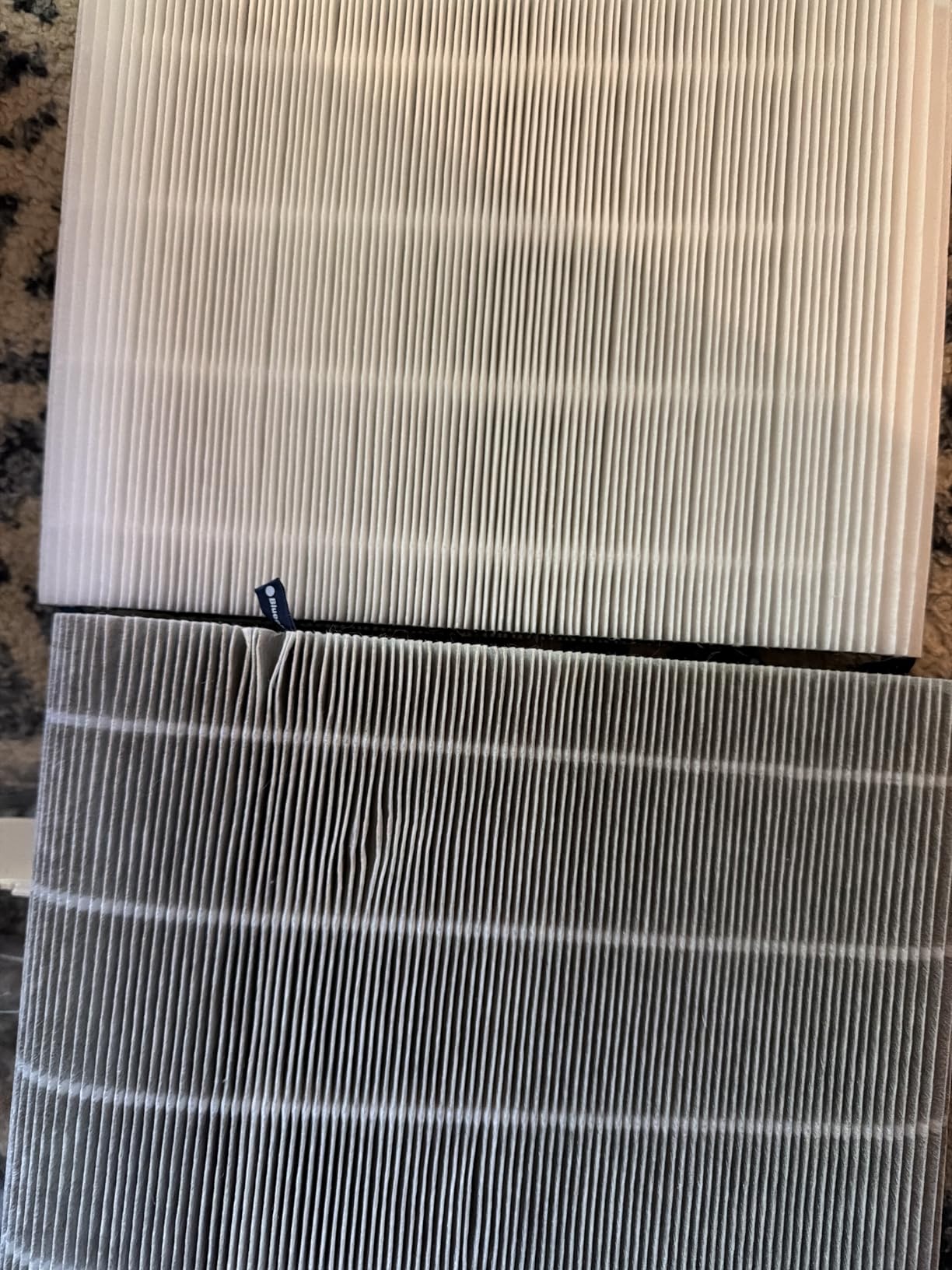 BLUEAIR Air Purifiers for Home Bedroom Dorm Office up to 907 Ft², Blue 511 customer photo 1