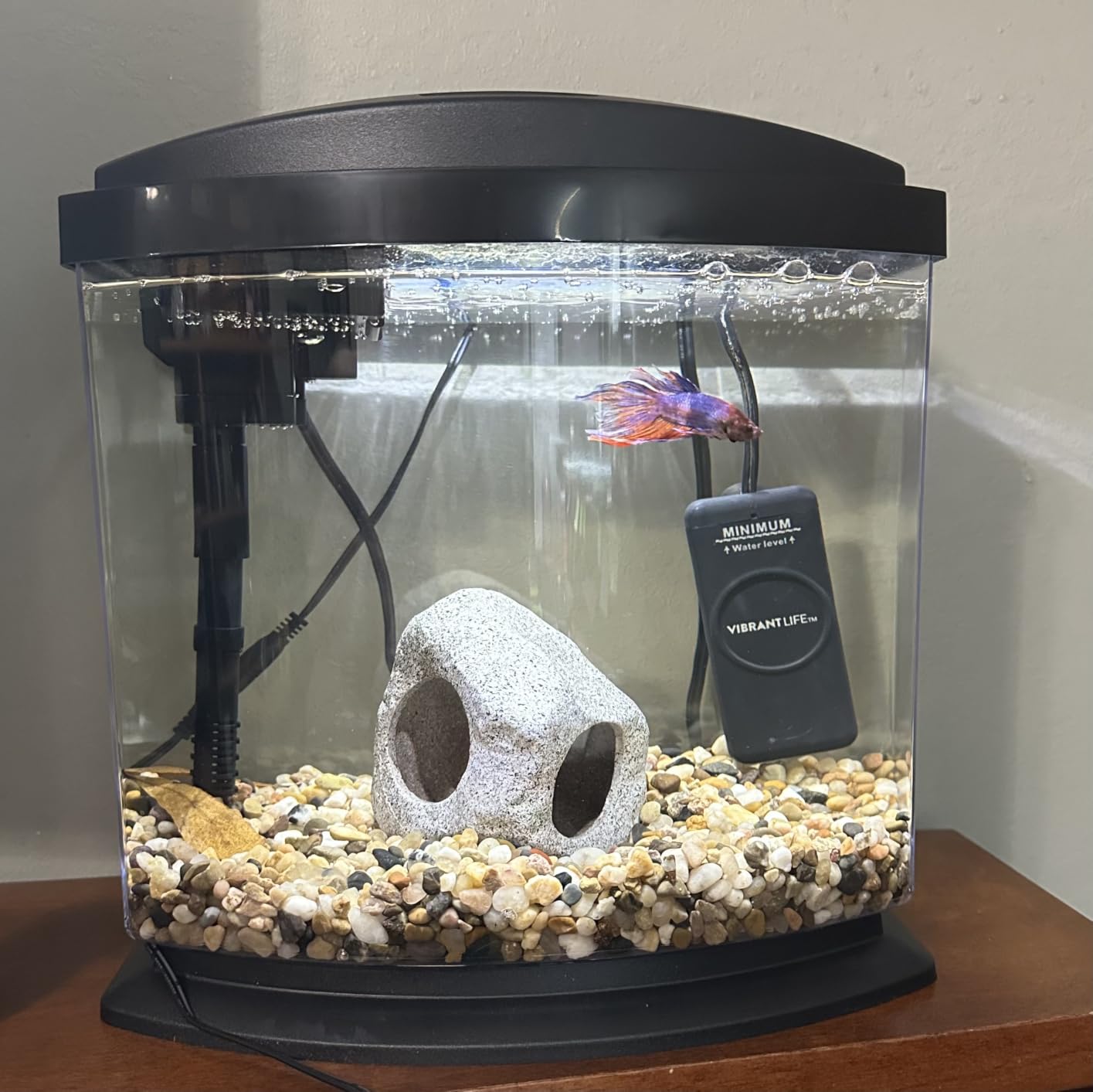 Aqueon MiniBow Small Aquarium Starter Kit, All-in-One Desktop Fish Tank for Betta, Shrimp or Small Fish, Includes SmartClean Filter Technology, LED Light and Conditioner, Black, 5 Gallon customer photo 2