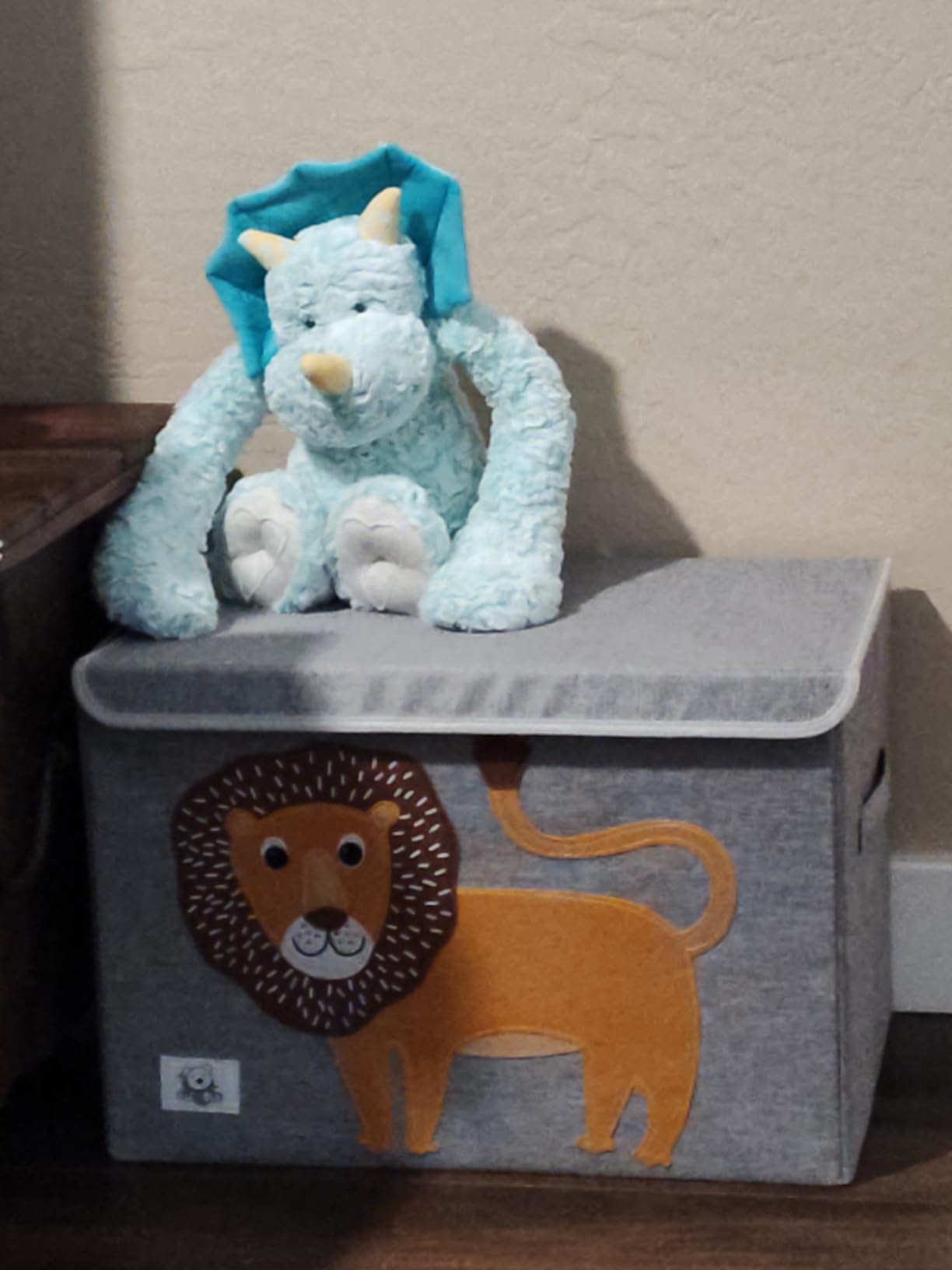 Large Toy Box Storage with Lid, Foldable Fabric Toy Chest Storage for Kids customer photo 2