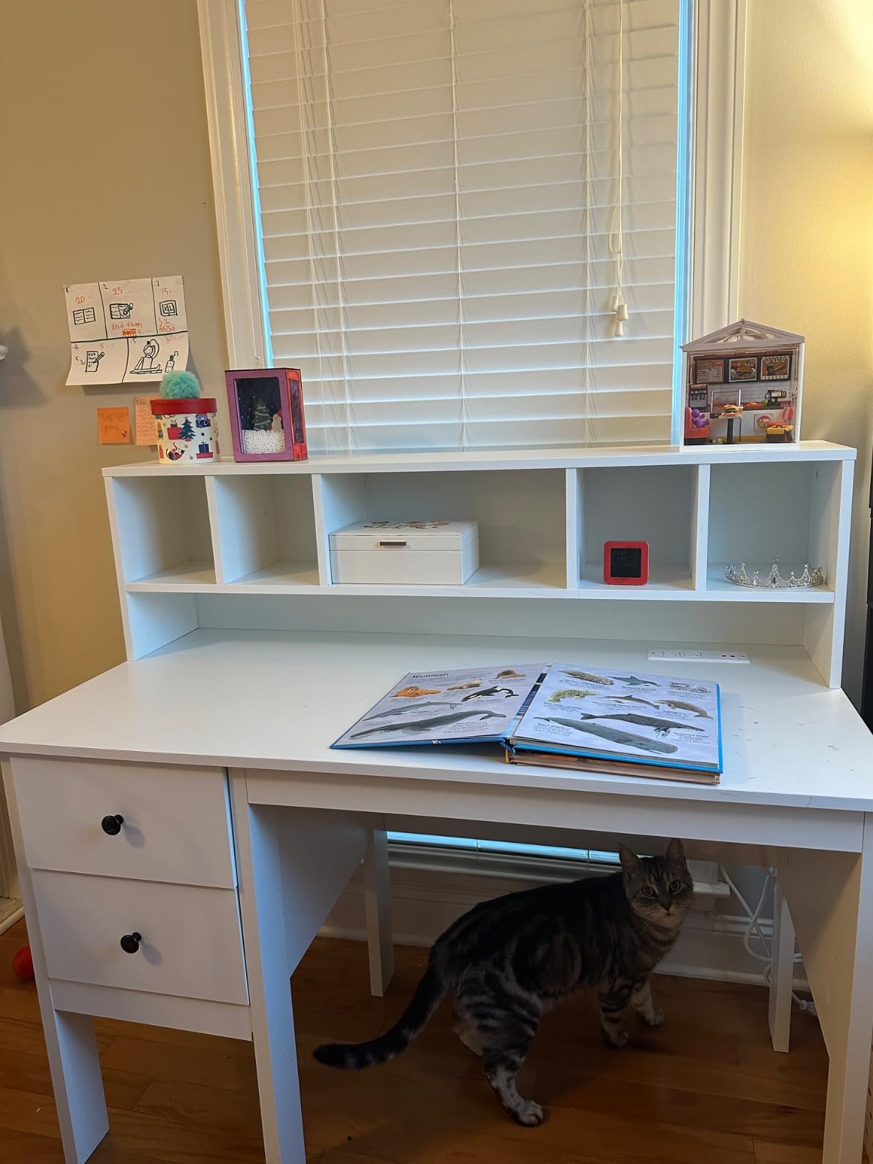 Tangkula White Desk with Drawers & Hutch, Modern Home Office Desk Writing Study Desk with Charging Station, Laptop Desk with 5 Storage Compartments, Computer Workstation Makeup Vanity Desk customer photo 1