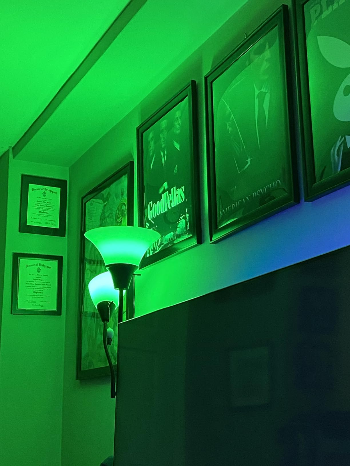 WiZ LED Smart Light Bulbs, Sunset to Sunrise Automation + Motion Detection + Control with Voice or App, Full Color A19 60W 800LM E26 Indoor, Matter Compatible - 2 Pack customer photo 1