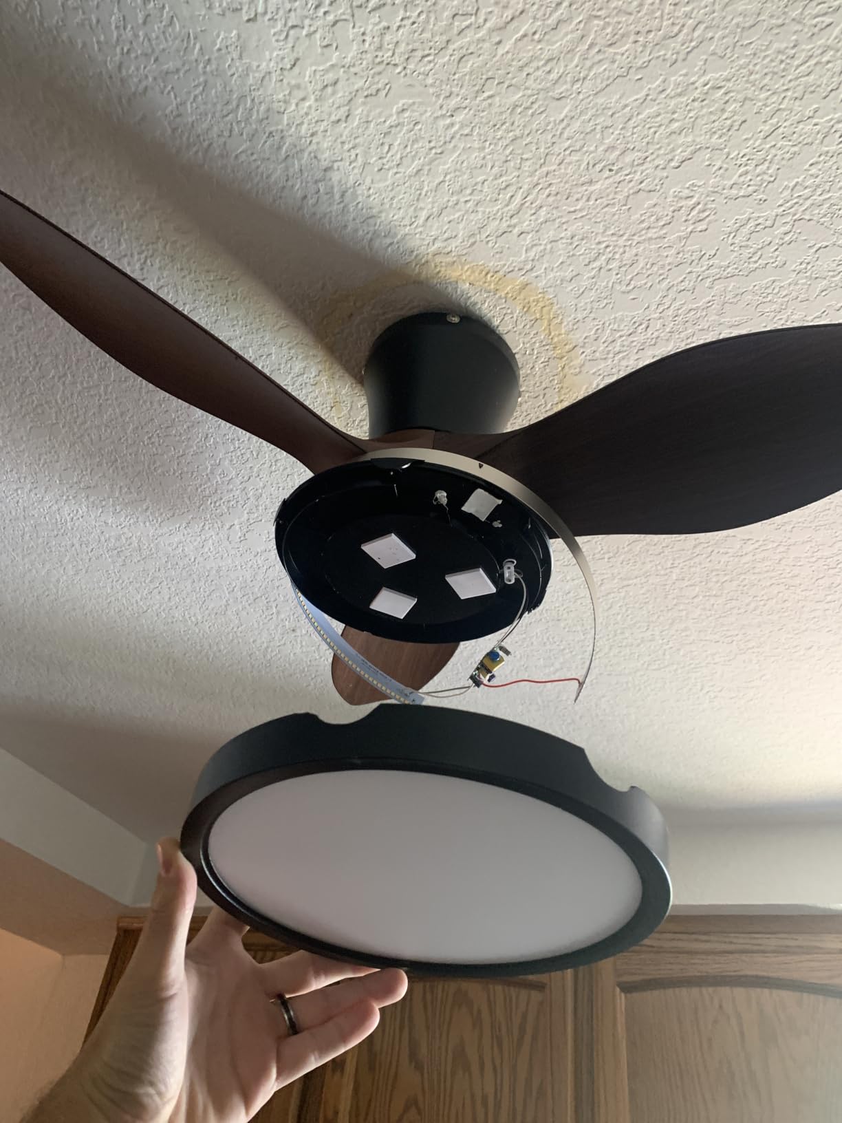 ocioc Quiet Ceiling Fan with LED Light 22 inch Large Air Volume Remote Control for Kitchen Bedroom Dining Room Patio customer photo 2