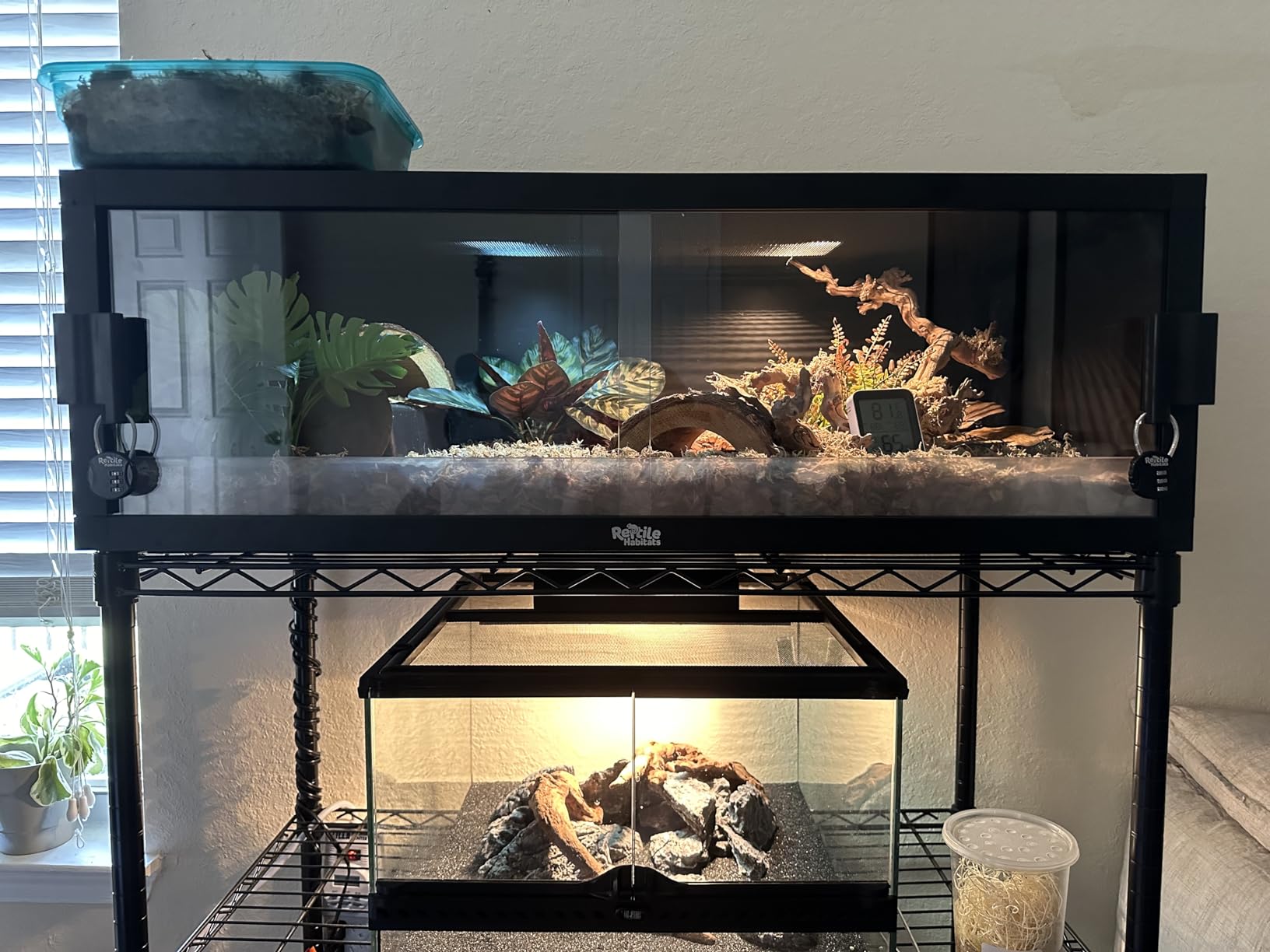 Briignite G9 Heat Lamp Bulbs for Reptile Mini Reptile Light Warm 50W 2 Pack customer photo 2