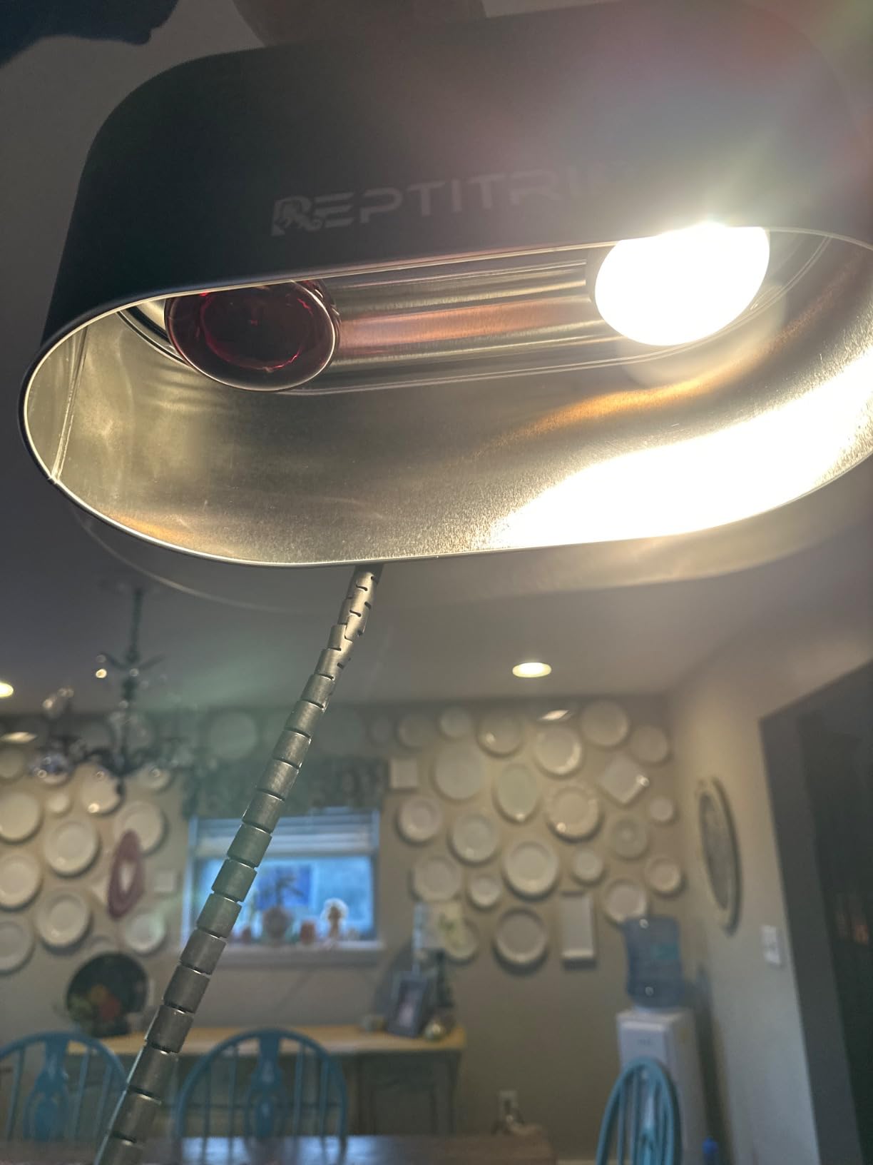 REPTI ZOO 75W Reptile Heat Lamp Bulb, 2PCS Day & Night Basking Spot Light Combo Pack Includes Infrared Heat Lamp and UVA Daylight Heating Lamp Basking Light customer photo 1