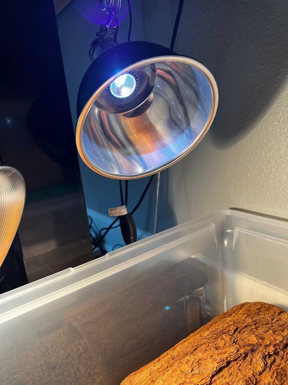 Premium High-Intensity UVB Reptile Light for Optimal Calcium Metabolism,5-Watt 10.0 Desert UVB Light Ideal for Desert-Dwelling Reptiles Bearded Dragons Tortoises customer photo 1
